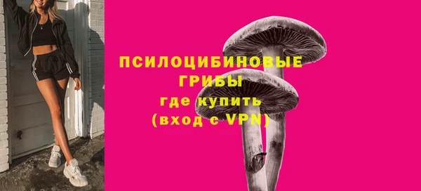 стаф Алексеевка