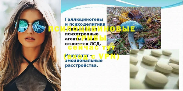 бошки Алексин