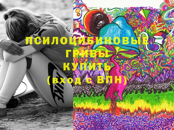 стаф Алексеевка