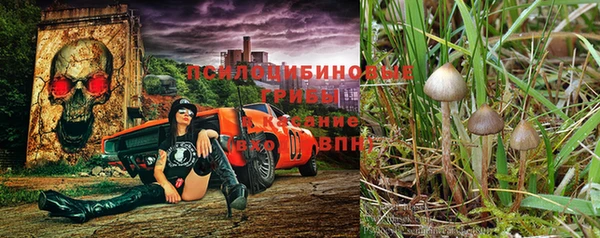 бутират Алзамай